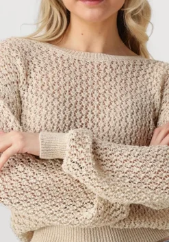 beige aaiko trui jaylee co 460