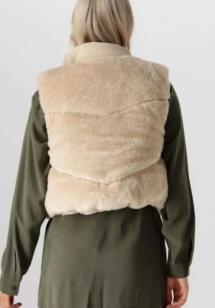 beige another label bodywarmer ellis