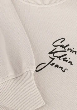 beige calvin klein sweater script institutional crewneck