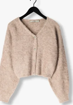 beige gestuz vest sanagz cardigan