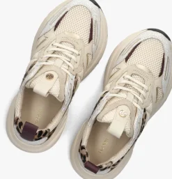 beige haboob lage sneakers lptokio