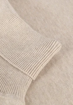 beige saint steve coltrui coen