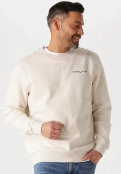 beige tommy jeans sweater tjm reg linear crew ext