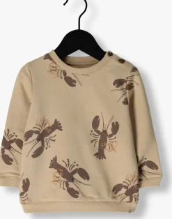 beige z8 sweater franco