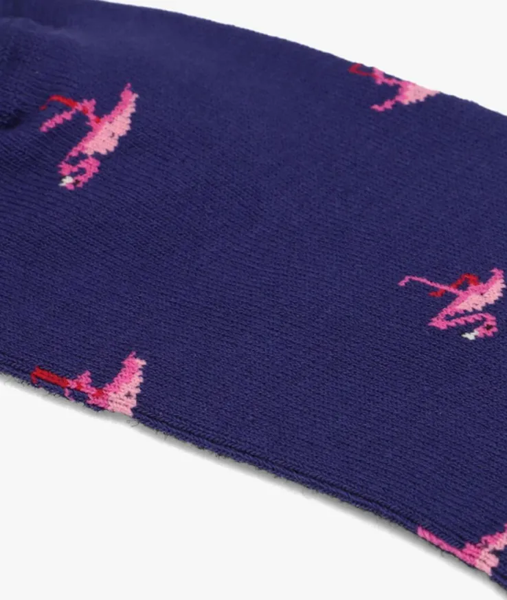 blauwe alfredo gonzales sokken flamingos