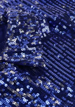 blauwe alix the label blouses woven sequins top