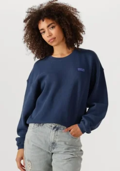 blauwe american vintage sweater izubird d