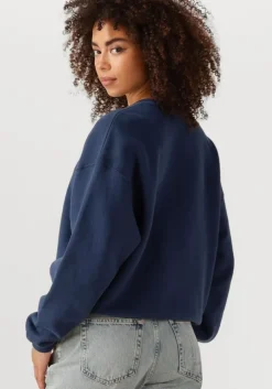 blauwe american vintage sweater izubird d