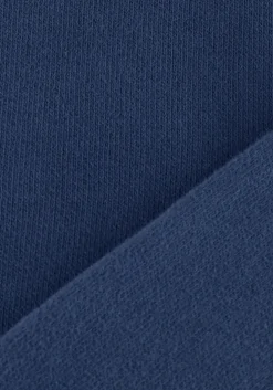 blauwe american vintage sweater izubird d