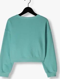 blauwe ammehoela sweater yara