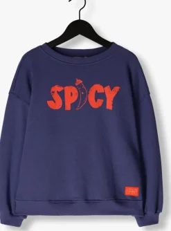 blauwe ammehoela sweater riff