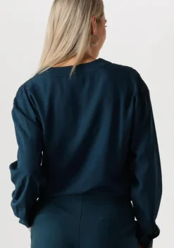 blauwe another label blouses chavelly