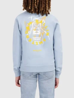 blauwe ballin sweater 017302