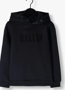 blauwe ballin trui 037308