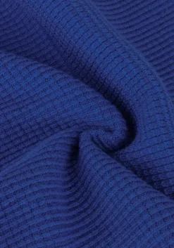 blauwe boss trui loforte