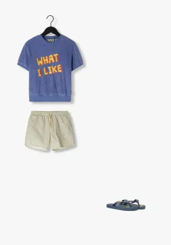 blauwe carlijnq t-shirt what i like - sweaterr short sleev e with embroidery