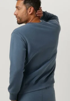 blauwe champion sweater crewneck sweatshirt