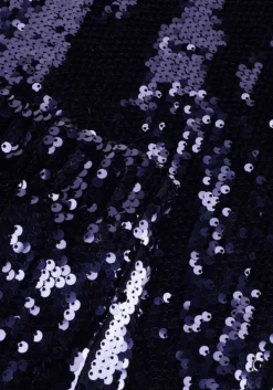 blauwe colourful rebel pantalon emy sequins flare pants