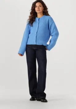 blauwe edited vest iliana