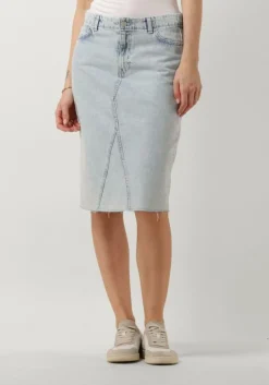 blauwe envii midirok endank