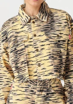 blauwe harper & yve jack willow-ja