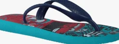 blauwe havaianas teenslippers cars