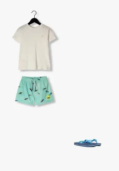 blauwe ipanema teenslippers classic brasil