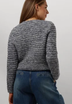 blauwe janice vest jimm