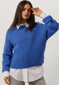 blauwe moves trui esinna