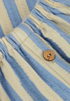 blauwe sproet & sprout midirok skirt stripes