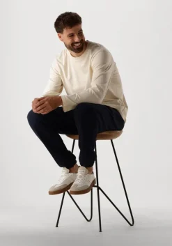 blauwe strøm clothing pet pet