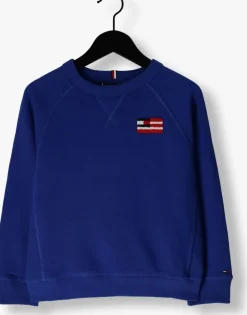 blauwe tommy hilfiger trui hilfiger flag relaxed sweatshirt