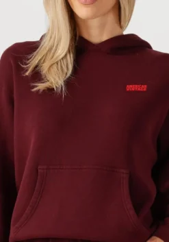 bordeaux american vintage trui izubird s