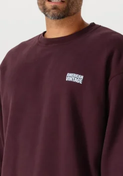 bordeaux american vintage sweater plizzy