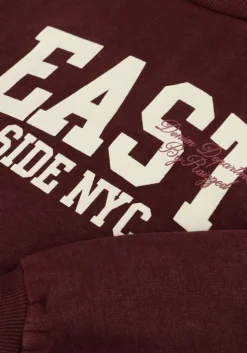 bordeaux raizzed sweater cela