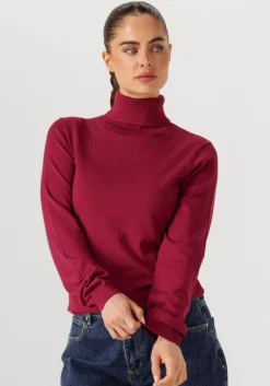 bordeaux silvian heach coltrui turte neck sesin