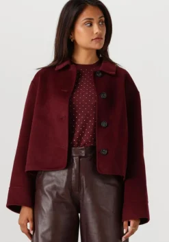 bordeaux studio ar teddy jas nicolina