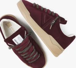 bordeaux via vai lage sneakers sam kyli