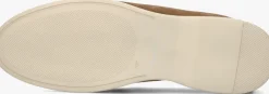 bruine ambitious instappers dan