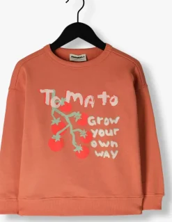 bruine ammehoela sweater am.rocky.62