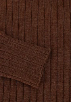 bruine bellamy coltrui lizzy