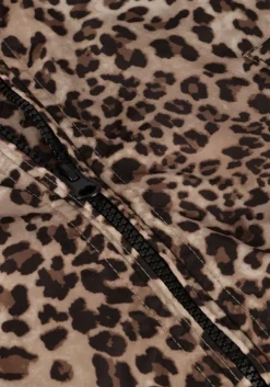 bruine cars jeans jack yelsa