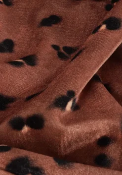 bruine catwalk junkie flared broek tr megan