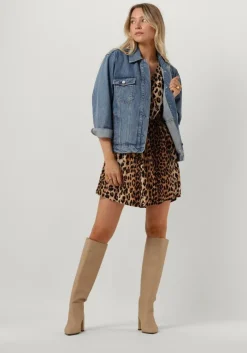 bruine catwalk junkie mini jurk dr leopard