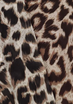 bruine catwalk junkie tops & t-shirts mesh turtle neck leopard long sleeve