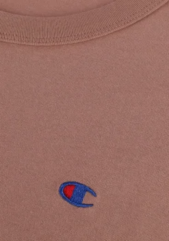 bruine champion t-shirt crewneck t-shirt 216545