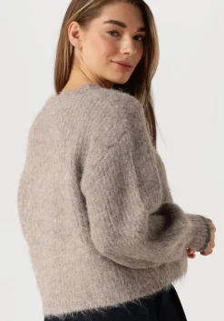 bruine co'couture truien/vesten coralee crop knit