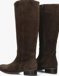 bruine gabor hoge laarzen 901