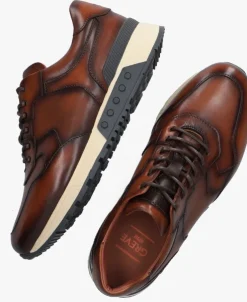 bruine greve lage sneakers haarlem k