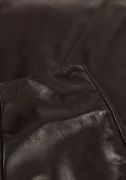 bruine ibana midirok siata